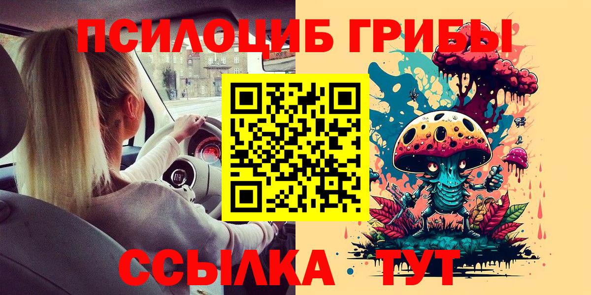 Галлюциногенные грибы Magic Shrooms  Галлюциногенные грибы MAGIC MUSHROOMS  Элиста  Вход с VPN 