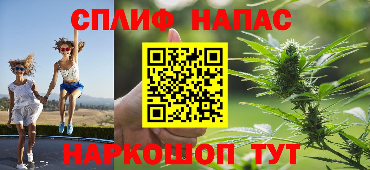 МАРИХУАНА сатива Элиста